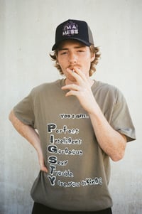 Image 3 of MESS TRUCKER CAP