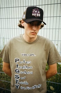 Image 5 of MESS TRUCKER CAP