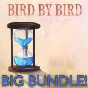 Image of While You Sleep VINYL BIG BUNDLE!