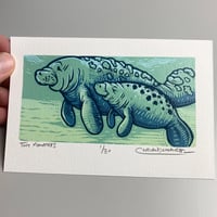 Tiny Manatees Print