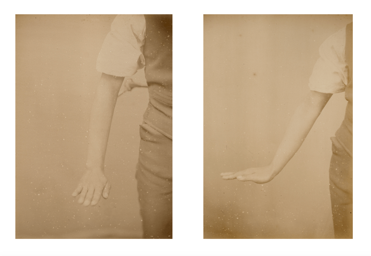 Image of Prince Roland Bonaparte: "Collection anthropologique" arm, Malaysia ca. 1884