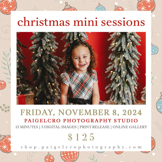 Image of Christmas Mini Sessions - DAY ONE