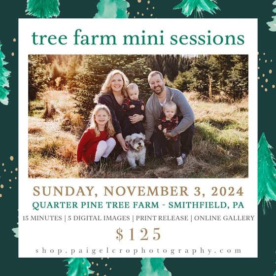 Image of Tree Farm Mini Sessions - DAY TWO