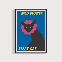 Image 2 of Wild Flower, Stray Cat