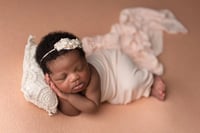 Image 3 of Aven Beanbag Backdrop (color choices)