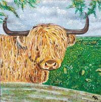 Highland Cow Original