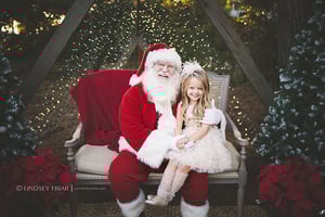 Image of Santa Mini Sessions 2024
