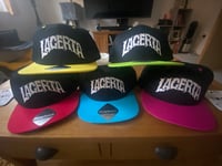 2024 Logo Snapback