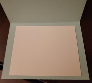 Image of New Home (bluebird)