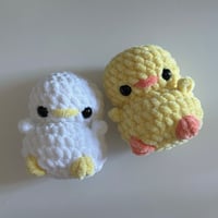 Image 1 of Mini Chicks