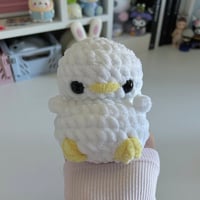 Image 2 of Mini Chicks