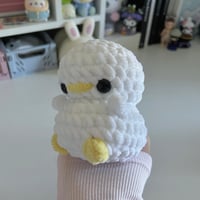 Image 3 of Mini Chicks