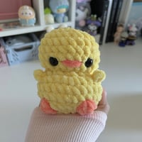 Image 4 of Mini Chicks