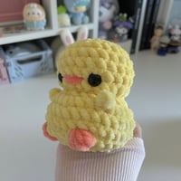 Image 5 of Mini Chicks