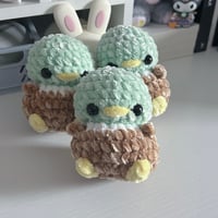 Image 1 of Mini Mallards
