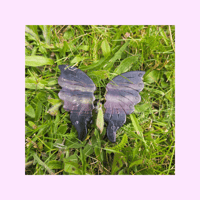 Image 2 of Fluorite Butterfly Wings + Stand