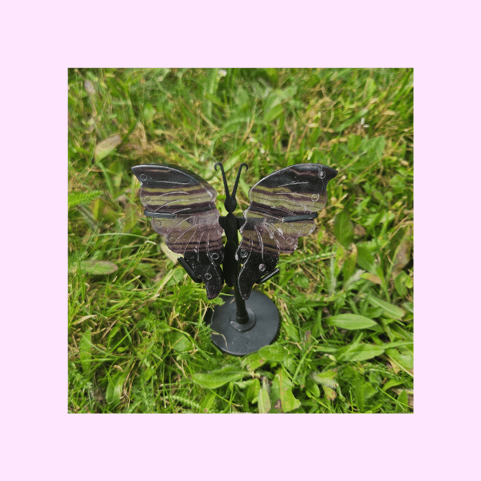 Image of Fluorite Butterfly Wings + Stand