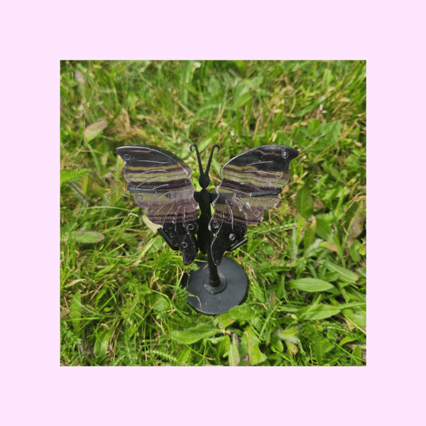 Image of Fluorite Butterfly Wings + Stand