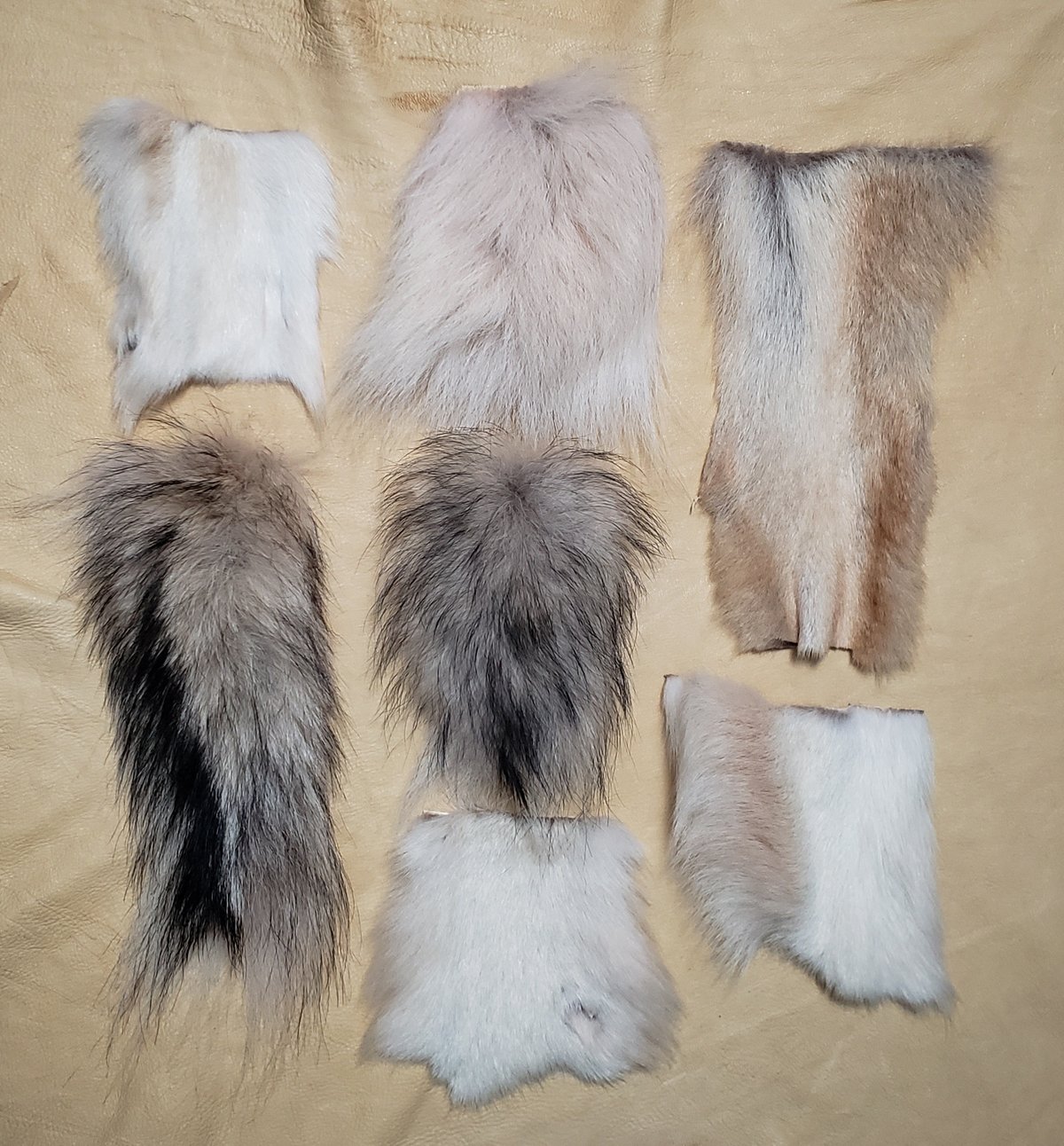 Image of Wolf Fur Scraps