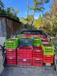 Image 5 of La Soledad - Nicaragua | FILTRE