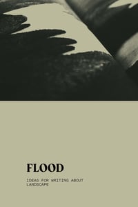 Image 1 of FLOOD ZINE
