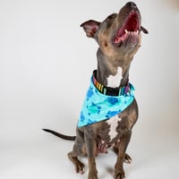 Image 2 of Sea Turtle Bandana