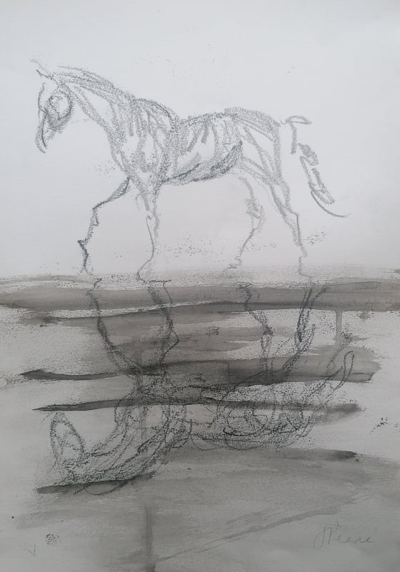 Image of Reflected Horse on Water