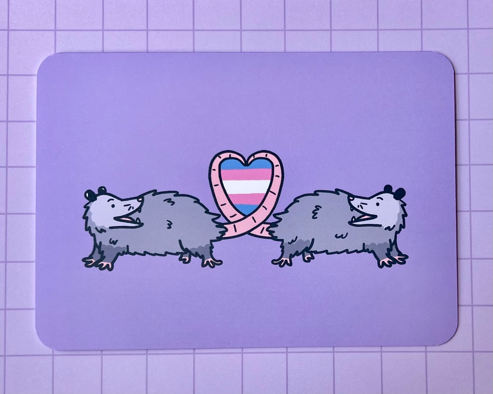 Image of Trans pride possum card