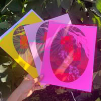 Image 1 of Angel 2 [MISPRINTS+ONE OFFS]