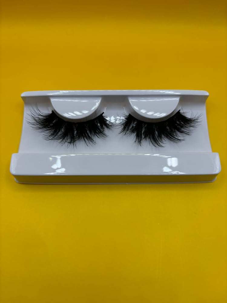 Image of False Lashes Style A 