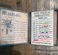 1000 Herbs and Fungi Library card pin