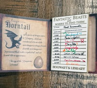 Fantastic Beasts V.2 Library card pin