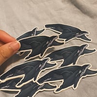 (Clear sticker) Humpback whale