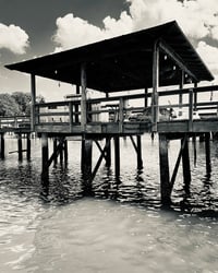 Image 1 of Photography from Savannah, GA