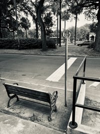 Image 3 of Photography from Savannah, GA