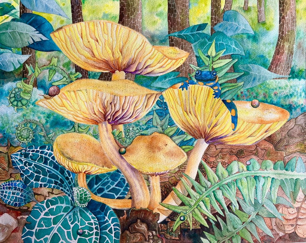 Image of Orange Mycena