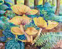 Image 1 of Orange Mycena Mushrooms, Fire Salamader & Rattlesnake Plantain 🍄 🦎 🍃