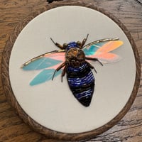 Image 1 of Shiny bee (c, 4 inches)