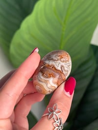 Image 2 of MEXICAN LACE AGATE SHIVA K