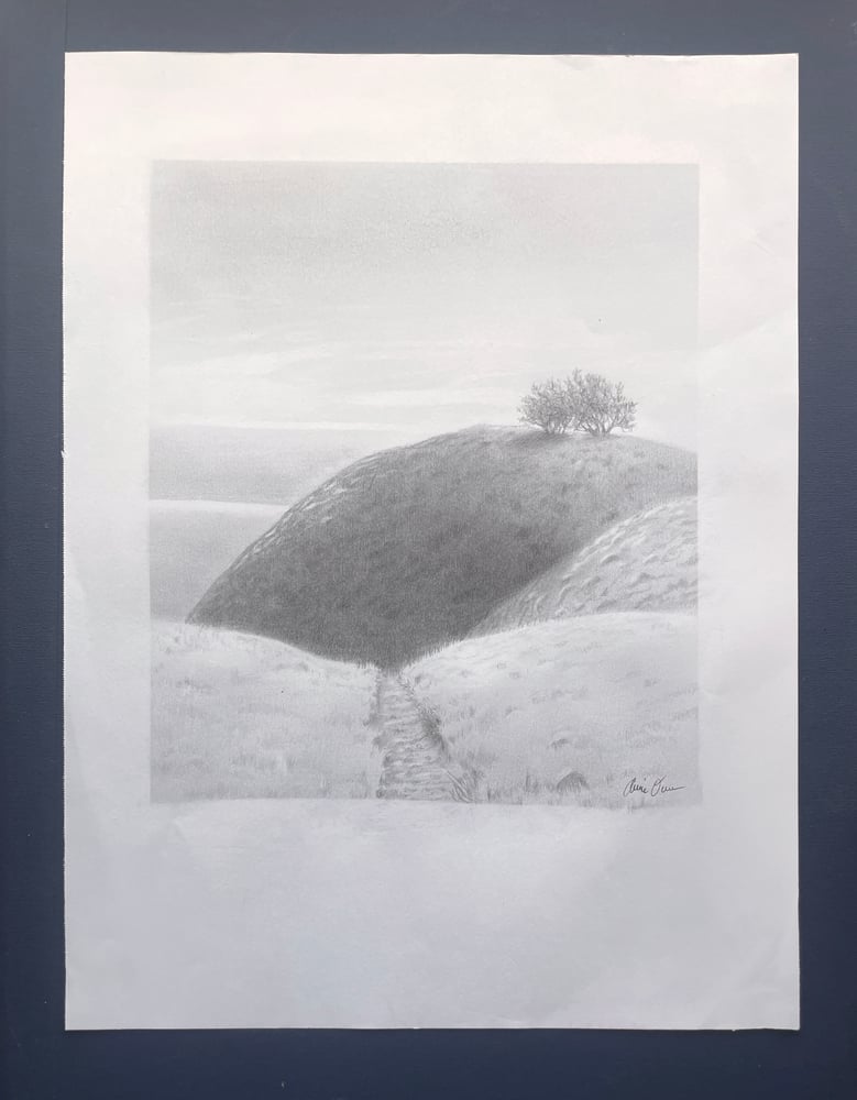 Image of Mt. Tam 1 grahite on drawing paper.