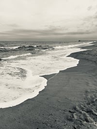 Image 5 of Photography from Savannah, GA