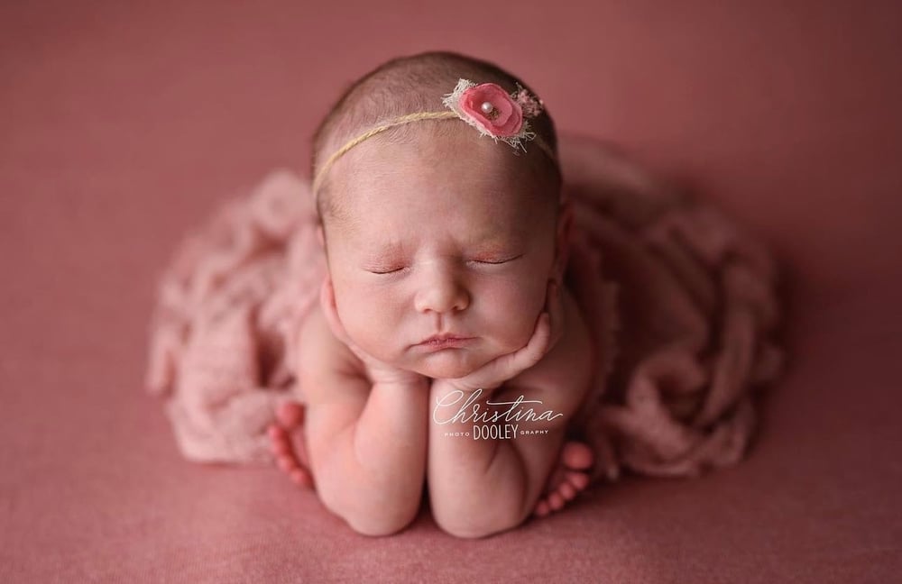 Image of Remi Wool blend Beanbag backdrop in Pink