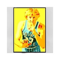 Larry Bird Pop art *8x10 in