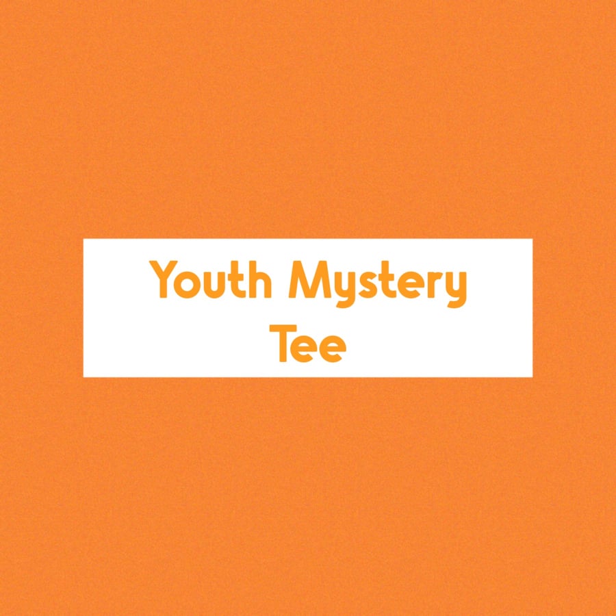 Image of Youth 2024 Mystery Tee 