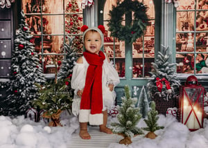 Image of LITTLES CHRISTMAS STOREFRONT 2024