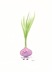 Image 2 of Red Onion 5x7