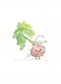 Image 1 of Potato 5x7