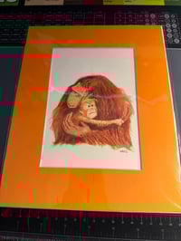 Image 2 of Orangutan Mother and Child 8x10