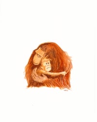 Image 1 of Orangutan Mother and Child 8x10