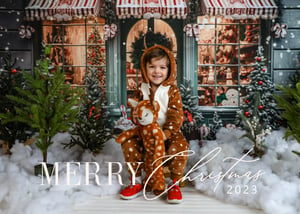 Image of LITTLES CHRISTMAS STOREFRONT 2024